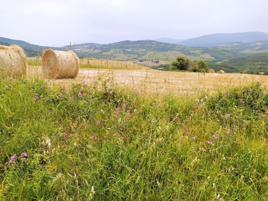 Casa Contadina In Borgo Medievale, Tuscany Monteguidi Exteriör bild